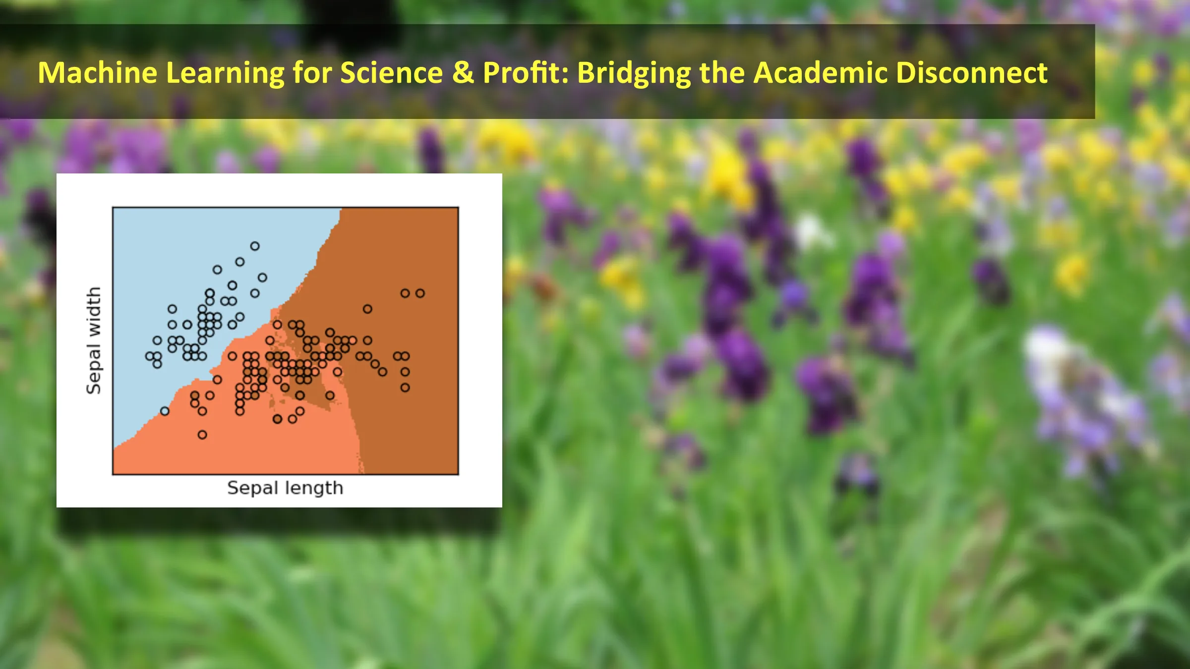 Slide 15 of 24